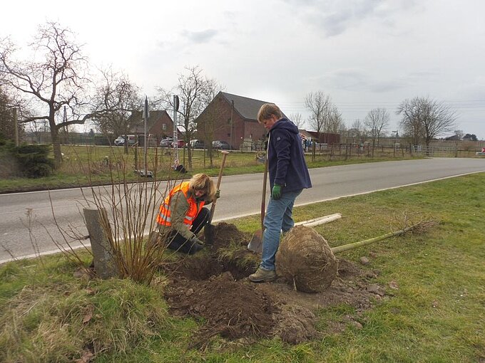 Die Pflanzlöcher müssen vorbereitet werden. Foto: NABU Willich