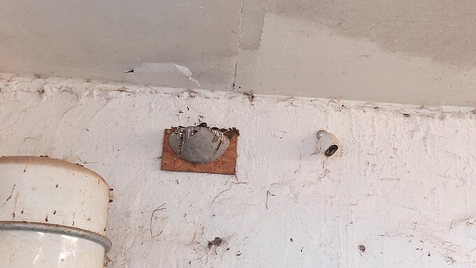 Künstliches Schwalbennest. Foto: NABU Willich