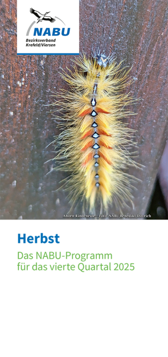 Quartalsprogramm 4/2025