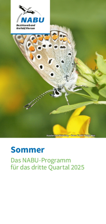 Quartalsprogramm 3/2025