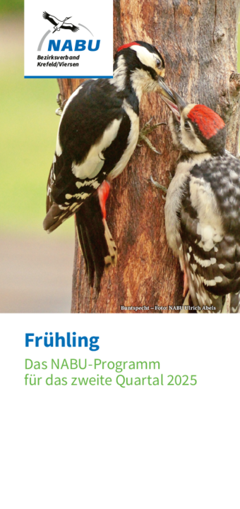 Quartalsprogramm 2/2025
