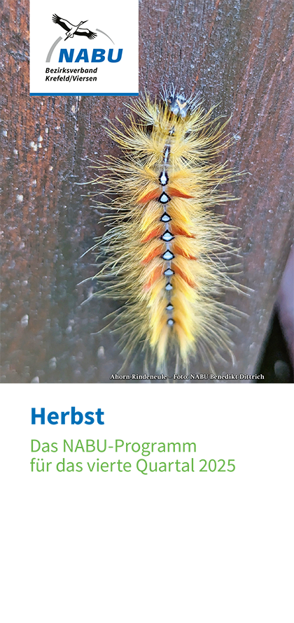 Quartalsprogramm 4/2025