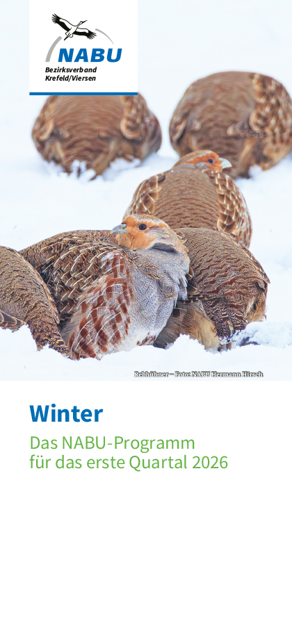 Quartalsprogramm 1/2026